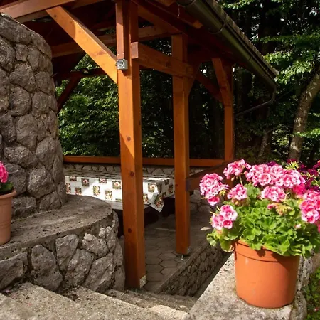 Apartment Gordana A4+2 For 6 Pax Nature Park *