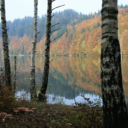 Gordana A4+2 For 6 Pax Nature Park Lokve