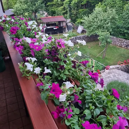 Gordana A4+2 For 6 Pax Nature Park Apartman *