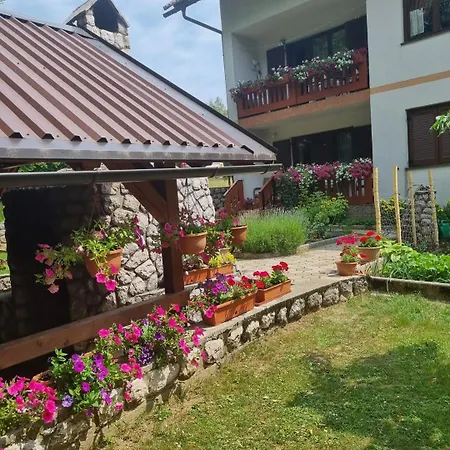 Apartment Gordana A4+2 For 6 Pax Nature Park Lokve