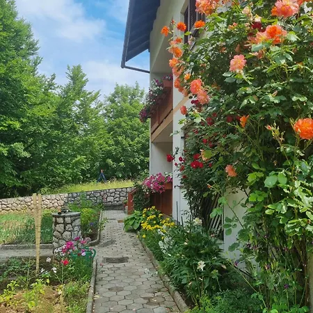 Gordana A4+2 For 6 Pax Nature Park Apartman *