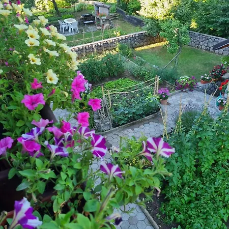Gordana A4+2 For 6 Pax Nature Park *