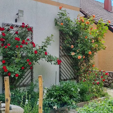 Apartment Gordana A4+2 For 6 Pax Nature Park