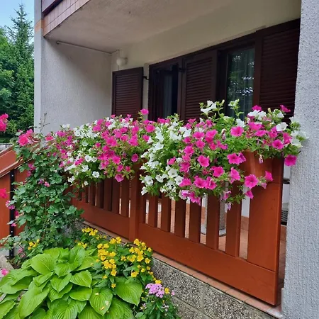 Apartment Gordana A4+2 For 6 Pax Nature Park *